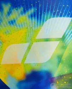 Arena Boys Swim Short Placement Royal/Multi -Swimming Equipment Store arena boys swim short placement royal multi original 3