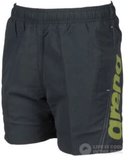 Arena Fundamentals Arena Logo Boxer Junior Asphalt/Soft Green/White