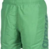 Arena Fundamentals Arena Logo Boxer Junior Golf Green/Royal/White -Swimming Equipment Store arena fundamentals arena logo boxer junior golf green royal white original