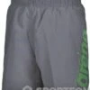Arena Fundamentals Arena Logo Boxer Junior Grey/Green 1 Arena Fundamentals Arena Logo Boxer Junior Grey/Green -Swimming Equipment Store arena fundamentals arena logo boxer junior grey green original