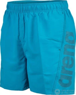 Arena Fundamentals Arena Logo Boxer R Turquoise/Dark Olive