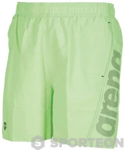 Arena Fundamentals Arena Logo Boxer Shiny Green/Navy