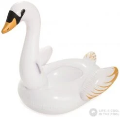 Inflatable Swan