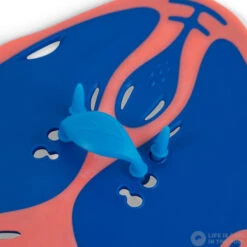 Speedo Power Paddle Blue Flame/Fluro Tangerine/Pool Blue -Swimming Equipment Store speedo power paddle blue flame fluro tangerine pool blue original 5