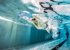 Swimaholic Kickboard 12 Swimaholic Kickboard -Swimming Equipment Store swimaholic kickboard original 3